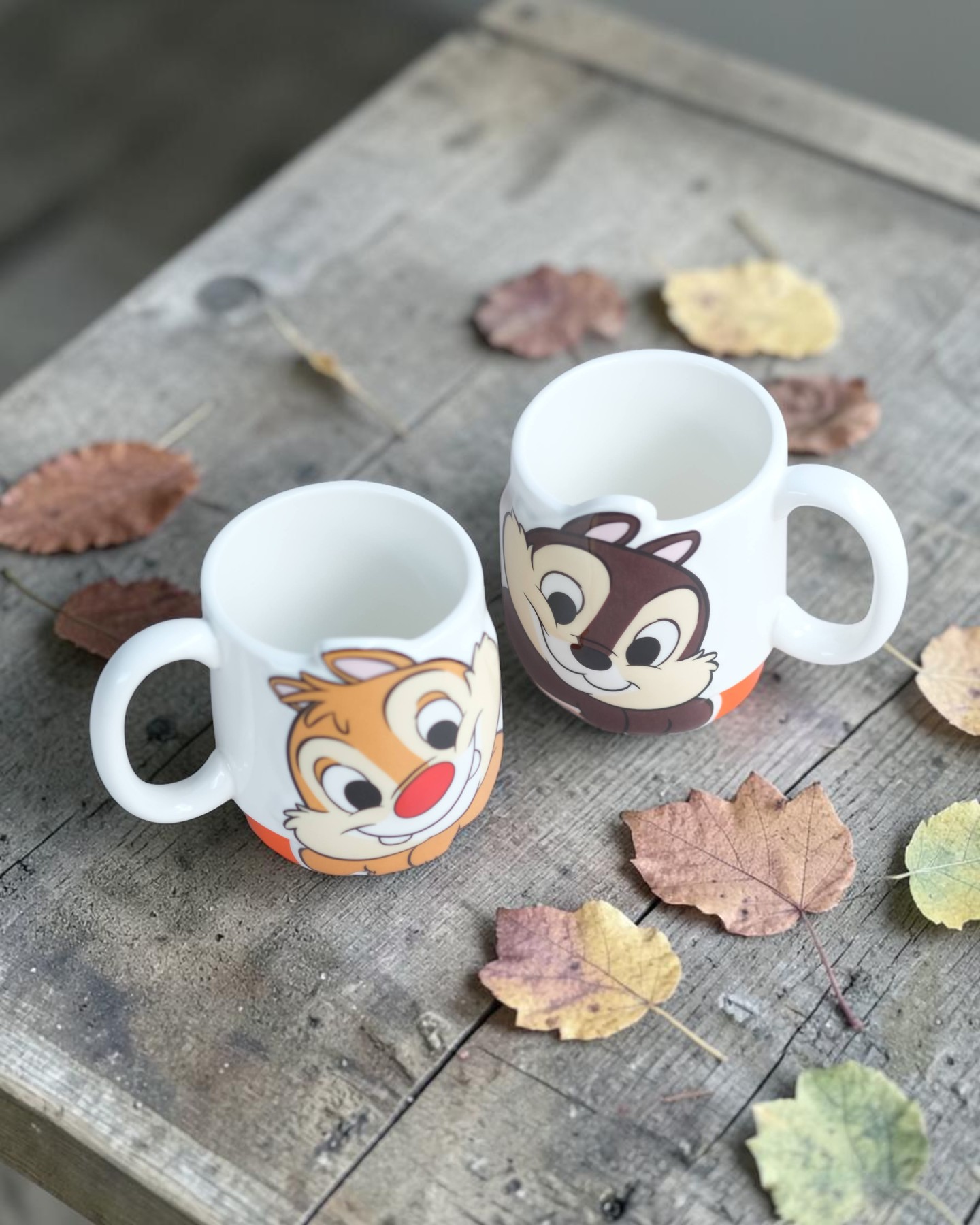 Ly cặp sóc Chip & Dale