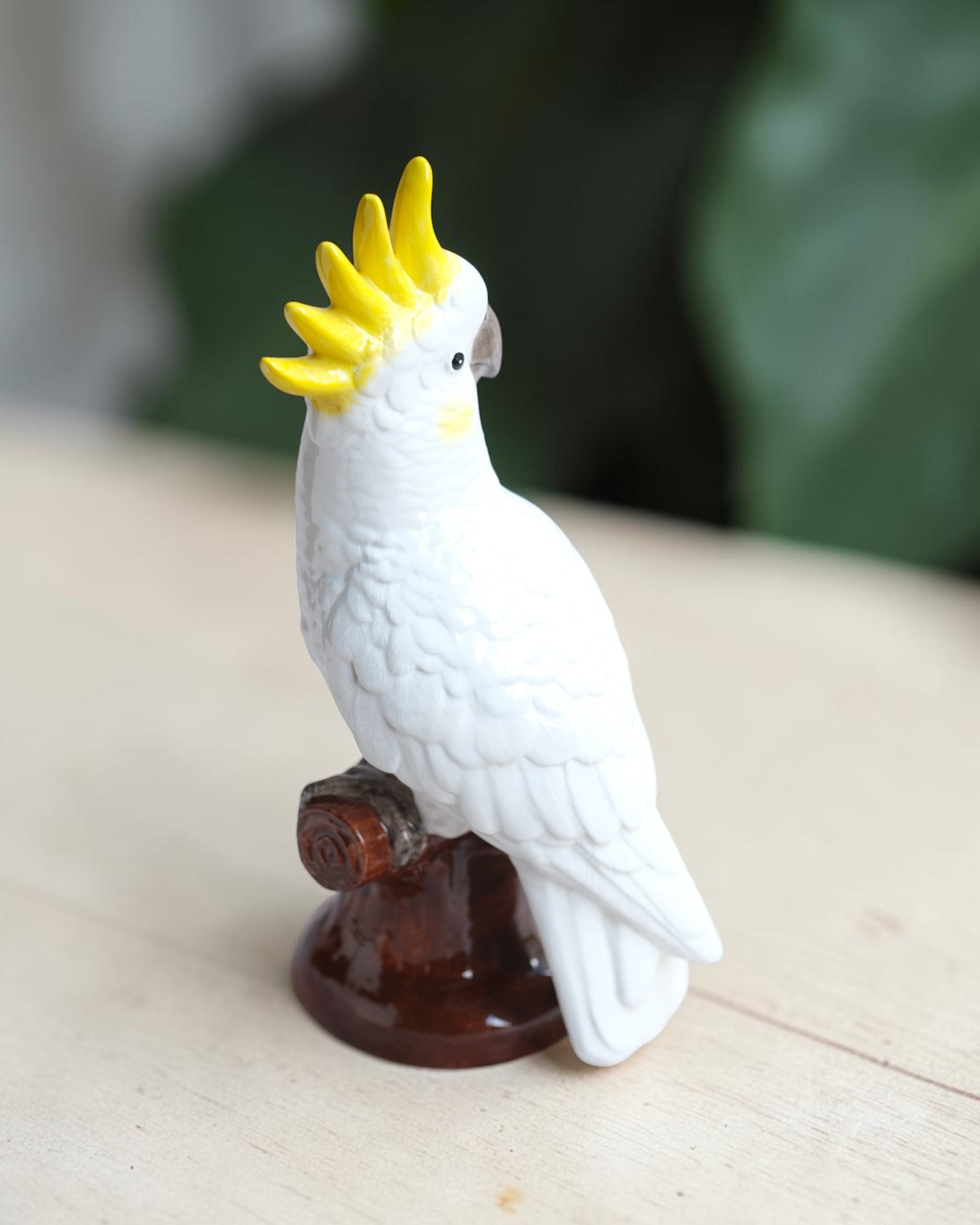 Tượng vẹt trắng