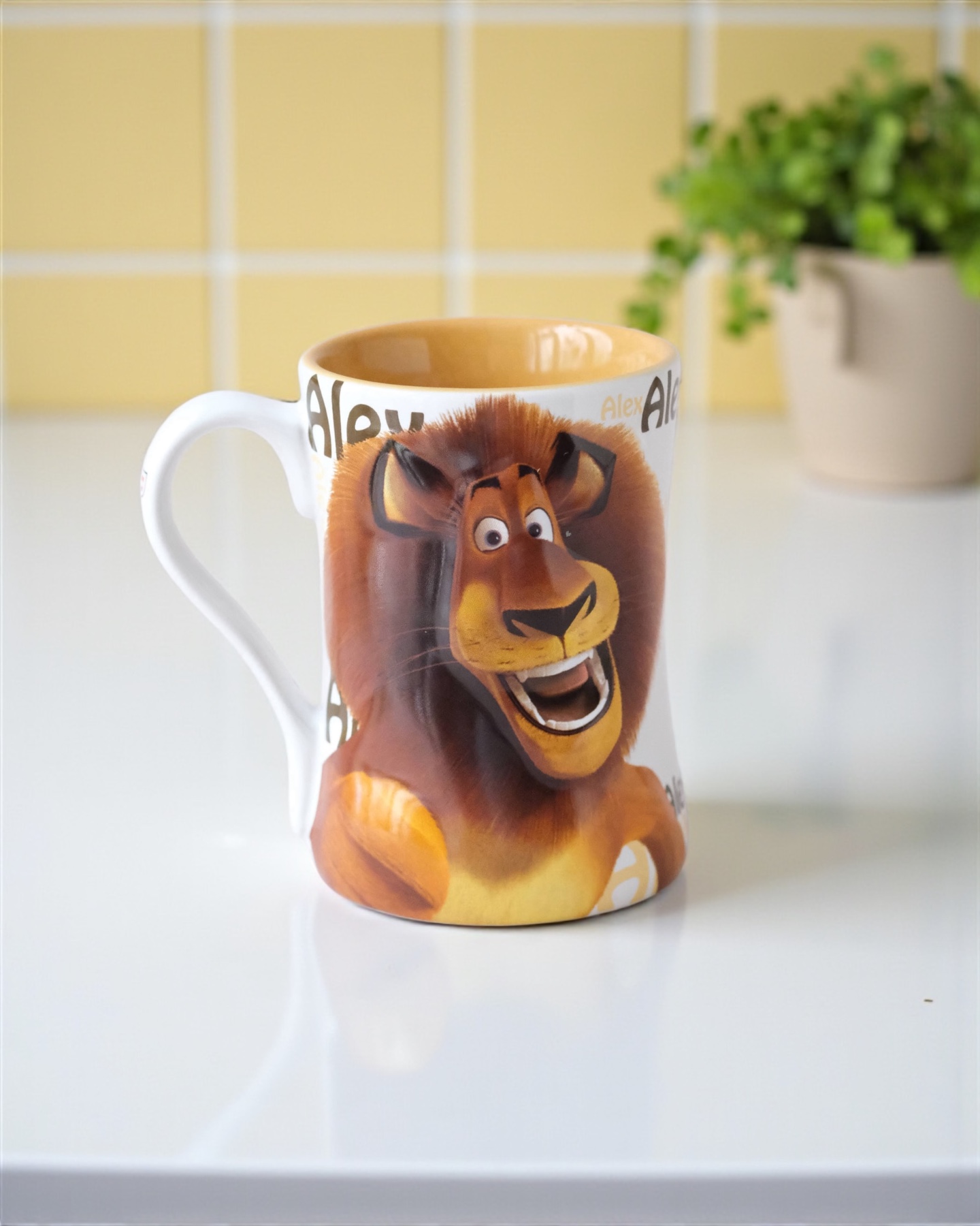 Ly Madagascar - Alex