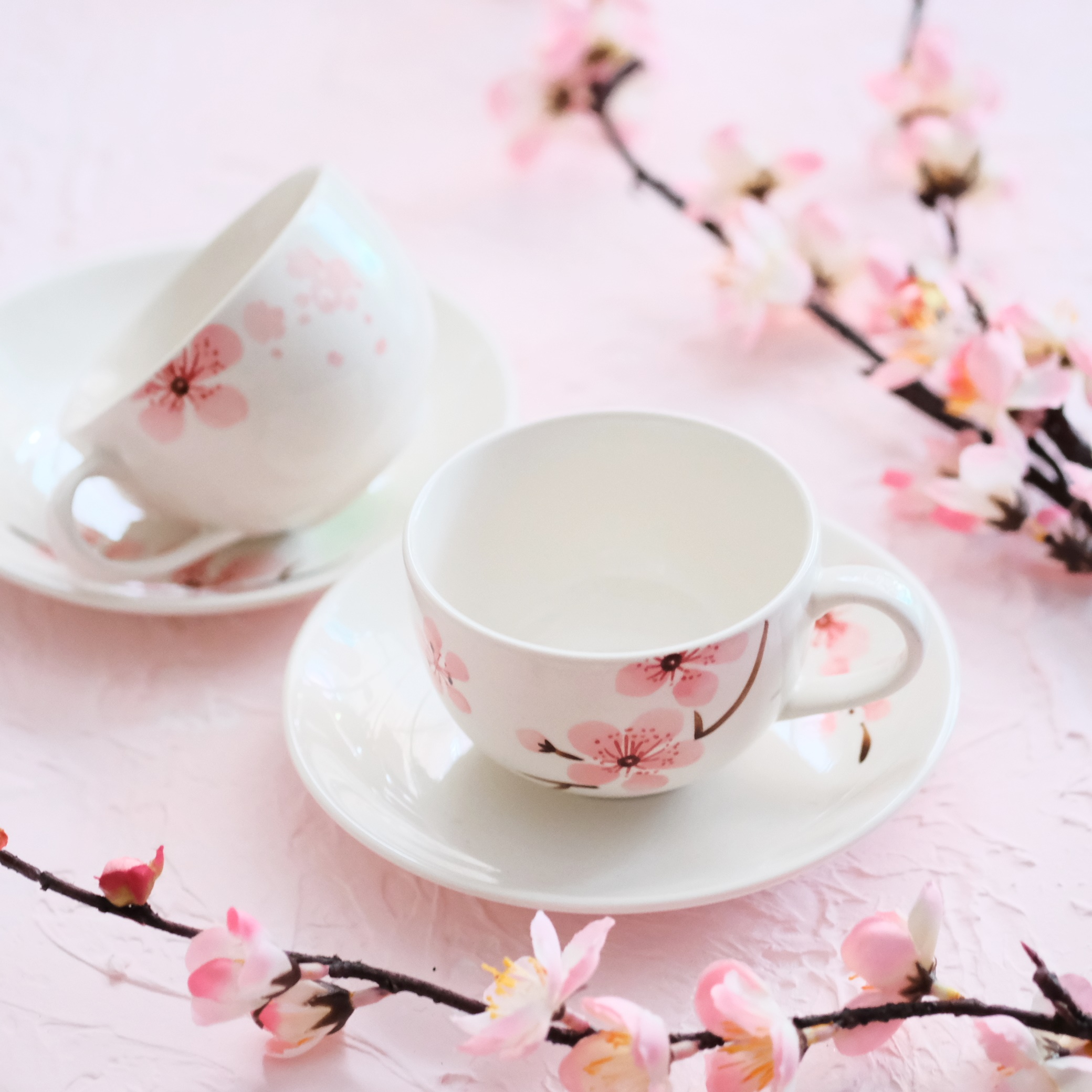  Tách trà form basic Bộ Sakura  