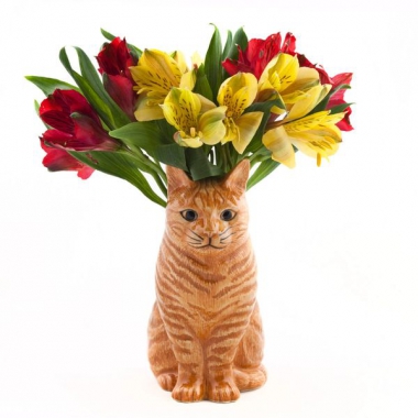 Bình hoa Mèo cam