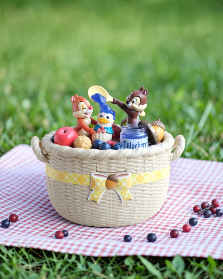 Hộp Đựng Bắp Rang Chip Dale Giỏ Trái Cây Picnic
